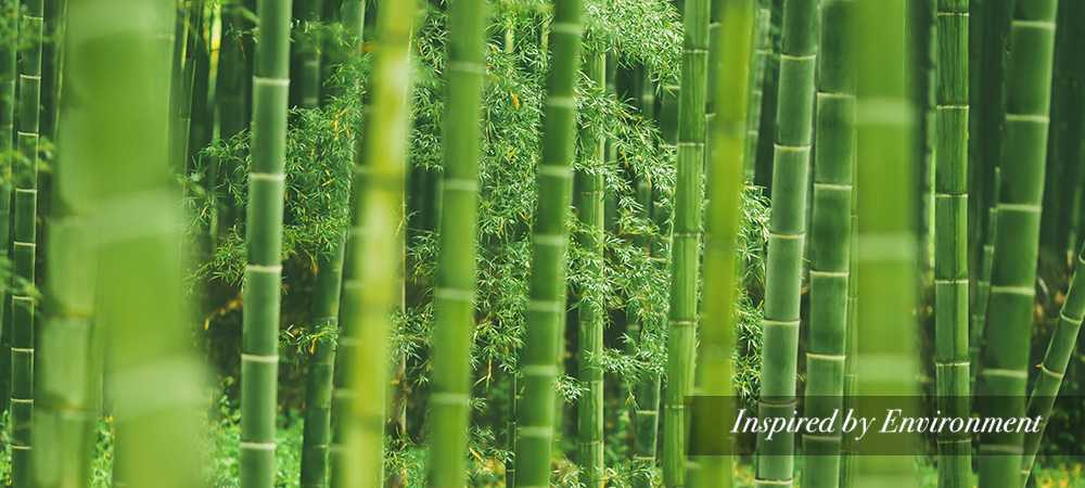 Bamboo is Inspired by Environment